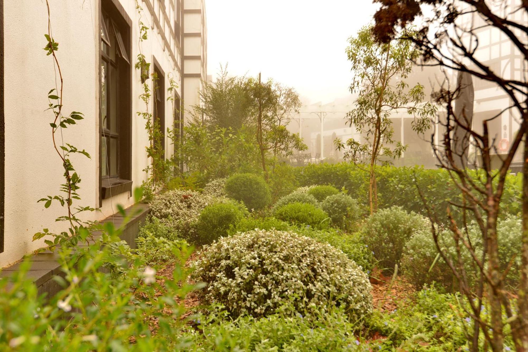 Anew Hotel Hilton Pietermaritzburg ภายนอก รูปภาพ